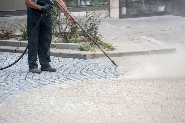 Best Pre-Holiday Cleaning  in Sunbury, OH